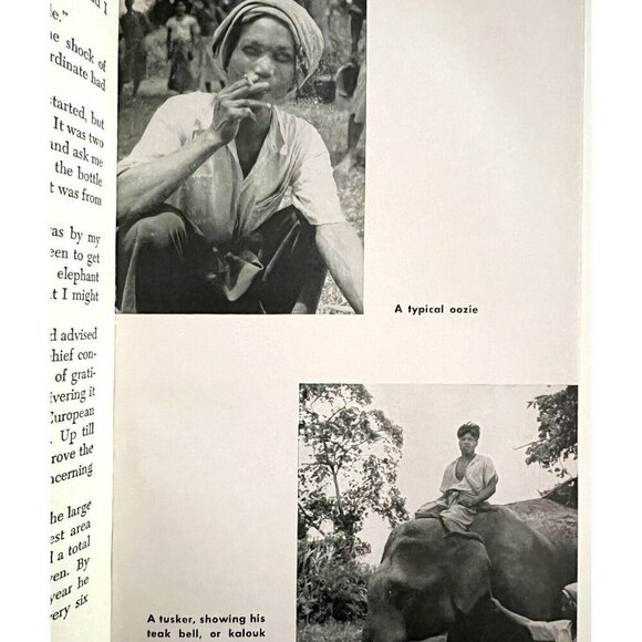 Elephant Bill Lt Col Williams 1950 First Edition Burma Biography HC Photos BKBX5 - Picture 5 of 10